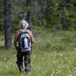 Upptäck land och landskap i Sverige